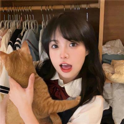 老鼠爱上猫