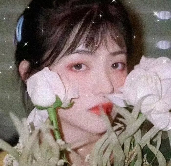 玫瑰小天使
